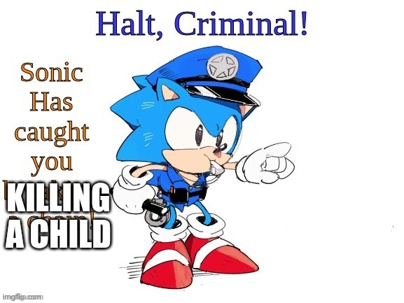 Police Sonic | KILLING A CHILD | image tagged in police sonic | made w/ Imgflip meme maker