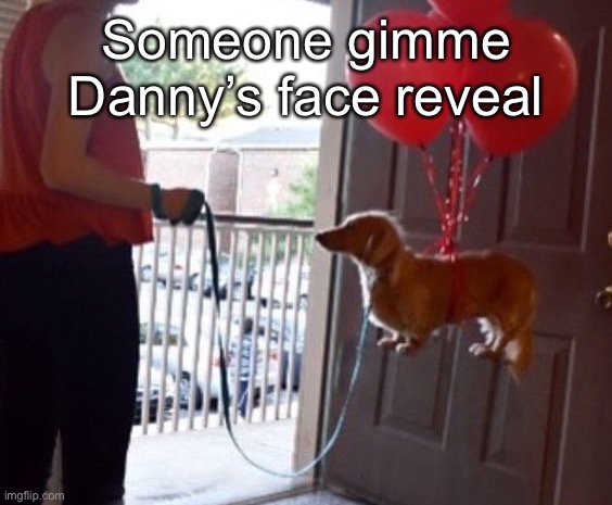 walkin me dog fr | Someone gimme Danny’s face reveal | image tagged in walkin me dog fr | made w/ Imgflip meme maker