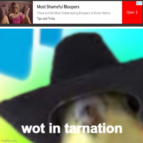 W0t in tarnation | image tagged in wot in tarnation | made w/ Imgflip meme maker