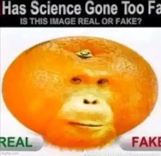 image tagged in bruh,lol,why are you reading this | made w/ Imgflip meme maker