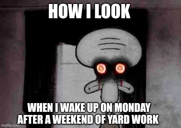 Yard work turns me into cursed Squidward | HOW I LOOK; WHEN I WAKE UP ON MONDAY AFTER A WEEKEND OF YARD WORK | image tagged in squidward | made w/ Imgflip meme maker