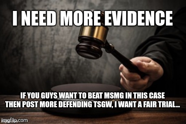 Court | I NEED MORE EVIDENCE; IF YOU GUYS WANT TO BEAT MSMG IN THIS CASE THEN POST MORE DEFENDING TSGW, I WANT A FAIR TRIAL... | image tagged in court | made w/ Imgflip meme maker