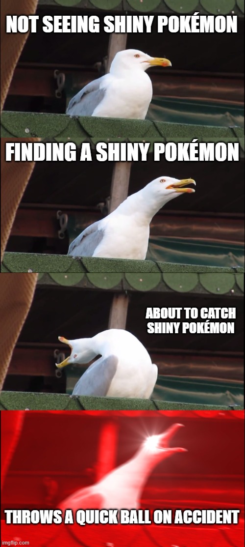 Pokémon | NOT SEEING SHINY POKÉMON; FINDING A SHINY POKÉMON; ABOUT TO CATCH SHINY POKÉMON; THROWS A QUICK BALL ON ACCIDENT | image tagged in memes,inhaling seagull | made w/ Imgflip meme maker