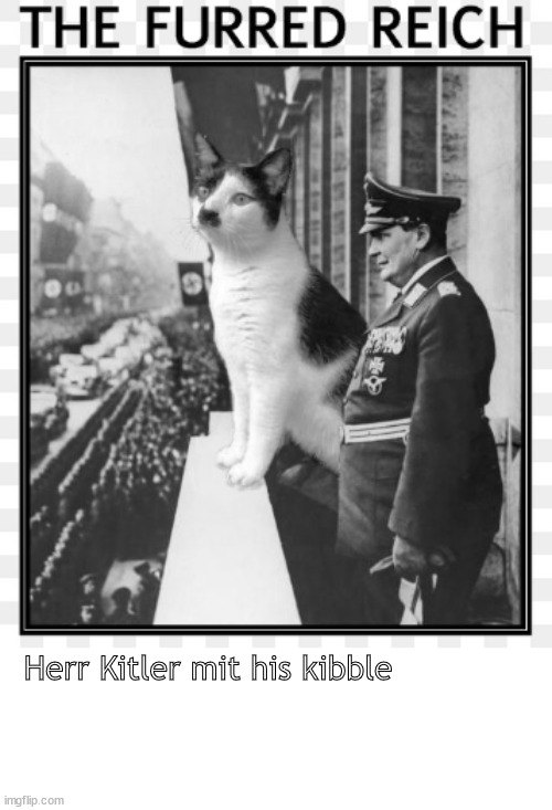 herr kitler | Herr Kitler mit his kibble | image tagged in memes,dark humor | made w/ Imgflip meme maker