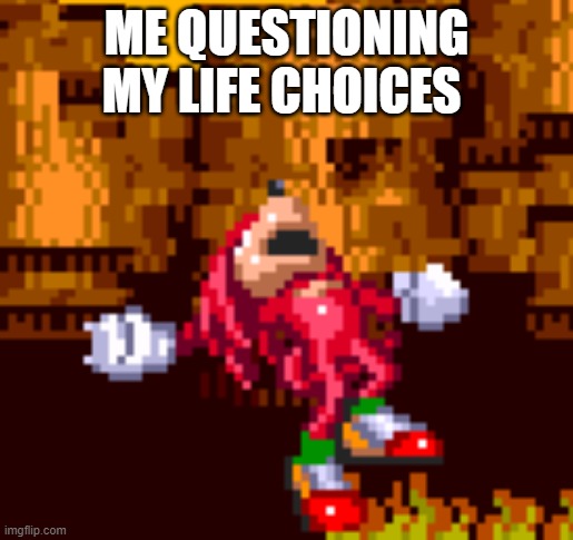 It's facts tho | ME QUESTIONING MY LIFE CHOICES | image tagged in knuckles trying to balance | made w/ Imgflip meme maker