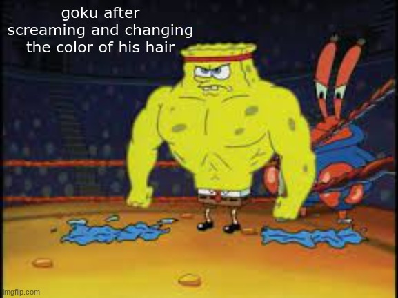 DBZ be like | goku after screaming and changing the color of his hair | image tagged in anime,anime meme,funny,fun | made w/ Imgflip meme maker