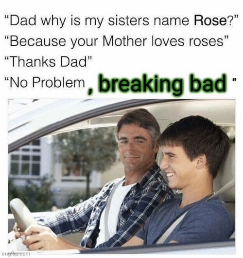 the best show ever | , breaking bad | image tagged in why is my sister's name rose | made w/ Imgflip meme maker