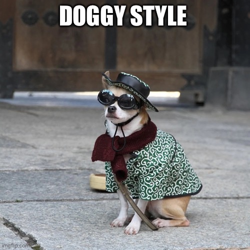 DOGGY STYLE | made w/ Imgflip meme maker
