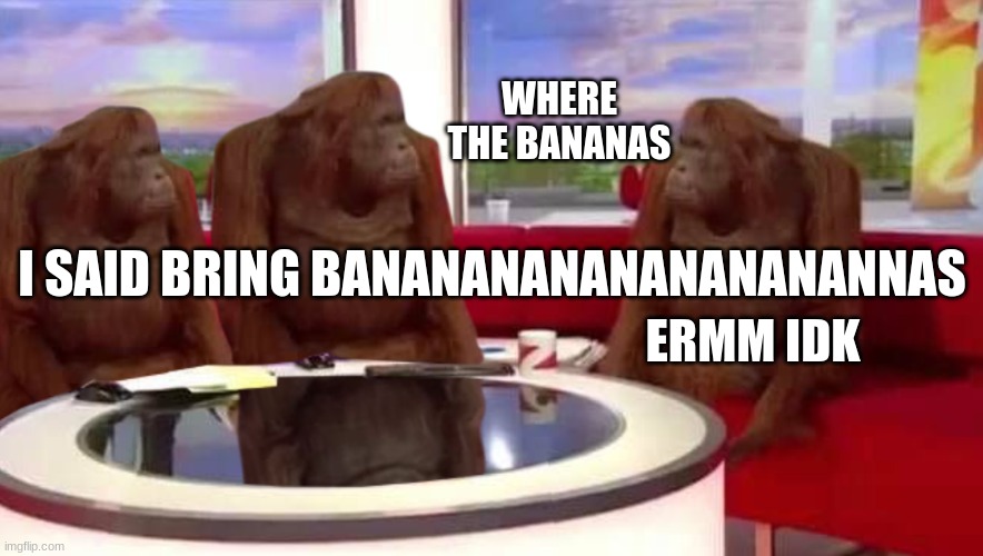 where monkey | WHERE THE BANANAS; I SAID BRING BANANANANANANANANANNAS; ERMM IDK | image tagged in where monkey | made w/ Imgflip meme maker