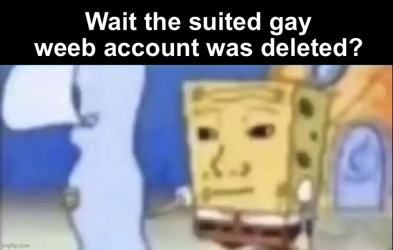 Bruh | Wait the suited gay weeb account was deleted? | image tagged in bruh | made w/ Imgflip meme maker