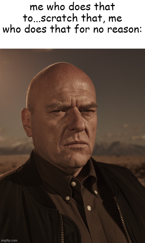 Hank Schrader - Breaking Bad - Dean Norris | me who does that to...scratch that, me who does that for no reason: | image tagged in hank schrader - breaking bad - dean norris | made w/ Imgflip meme maker