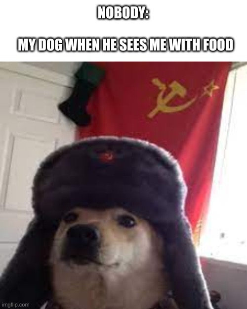 Is OUR Food | NOBODY:


                                                                                    
   MY DOG WHEN HE SEES ME WITH FOOD | image tagged in memes,funny | made w/ Imgflip meme maker