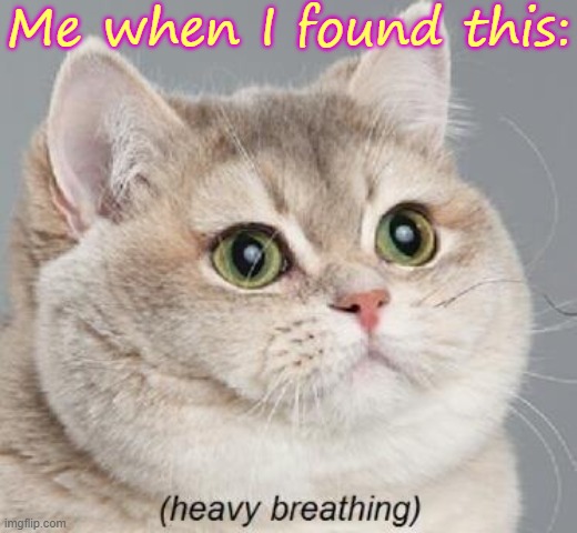 Heavy Breathing Cat Meme | Me when I found this: | image tagged in memes,heavy breathing cat | made w/ Imgflip meme maker