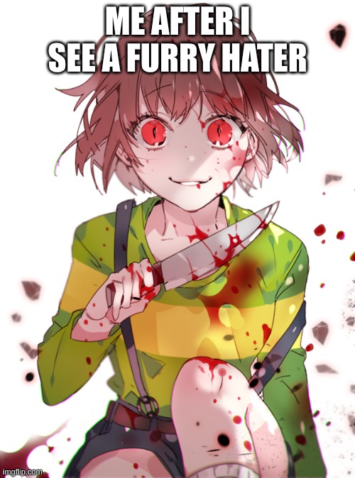 Undertale Chara | ME AFTER I SEE A FURRY HATER | image tagged in undertale chara | made w/ Imgflip meme maker