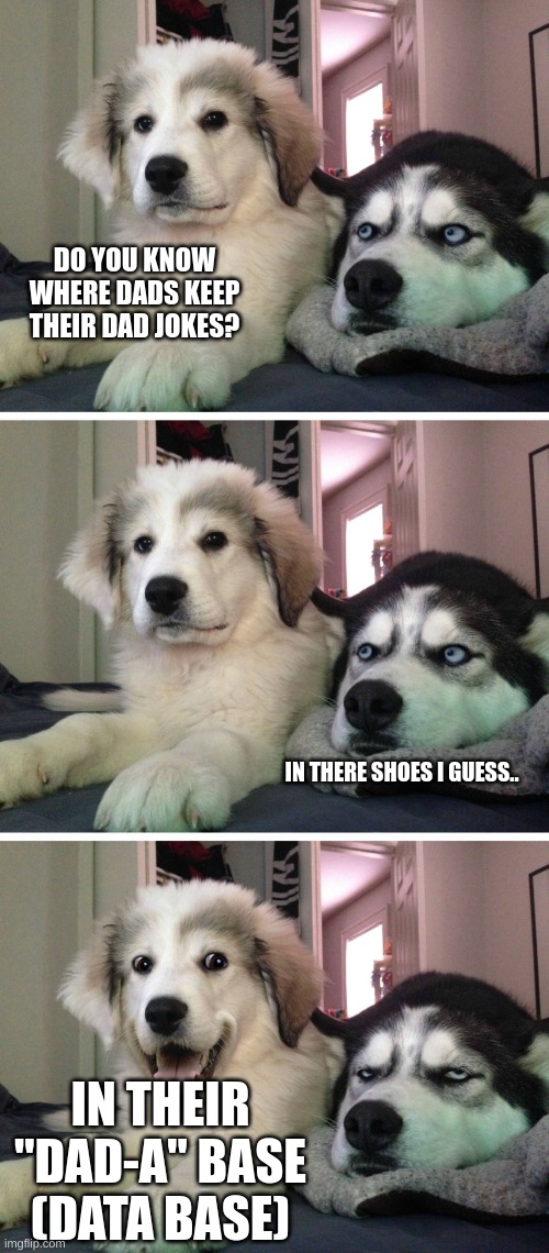 Dad Joke Alert! | DO YOU KNOW WHERE DADS KEEP THEIR DAD JOKES? IN THERE SHOES I GUESS.. IN THEIR "DAD-A" BASE (DATA BASE) | image tagged in bad pun dogs | made w/ Imgflip meme maker