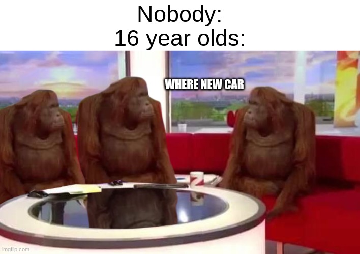 Image Title | Nobody:
16 year olds:; WHERE NEW CAR | image tagged in where monkey,memes,funny,relatable,sweet 16 | made w/ Imgflip meme maker