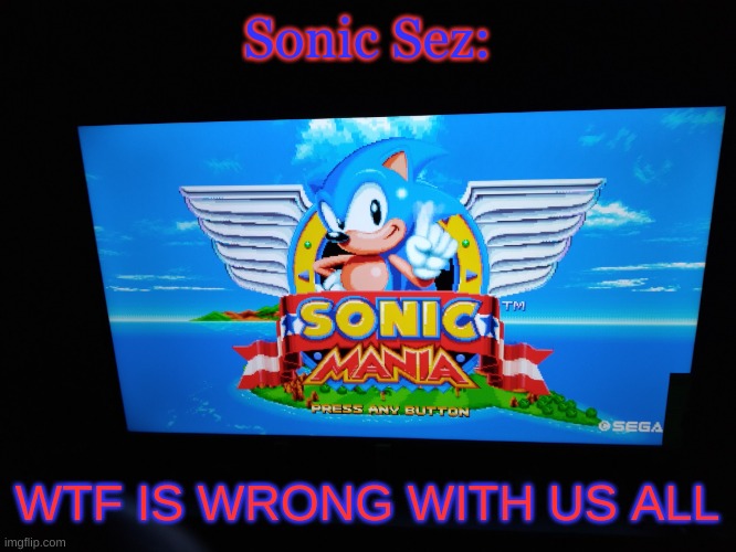 Sonic Mania Title Screen | Sonic Sez:; WTF IS WRONG WITH US ALL | image tagged in sonic mania title screen | made w/ Imgflip meme maker