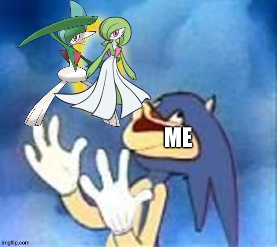 Gallade and Gardevoir as a couple,yes please! | ME | image tagged in joyful sonic,pokemon | made w/ Imgflip meme maker