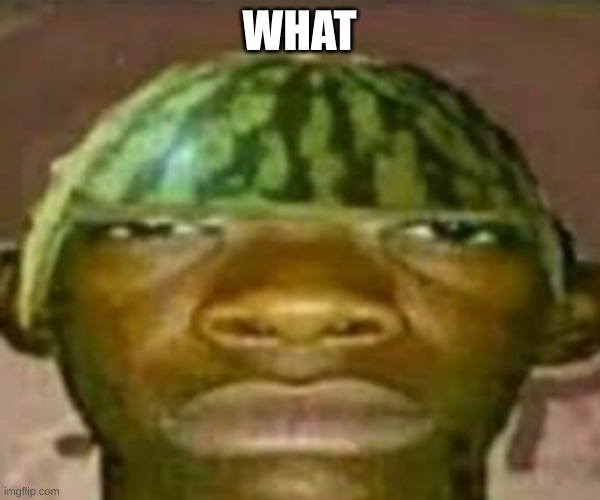 Wow that’s crazy my guy but when did I ask | WHAT | image tagged in wow that s crazy my guy but when did i ask | made w/ Imgflip meme maker