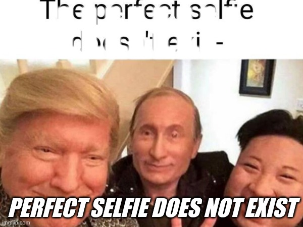 Perfect selfie |  LLLLLLLL; PERFECT SELFIE DOES NOT EXIST | image tagged in memes,funny memes,fun,funny meme,politics lol | made w/ Imgflip meme maker