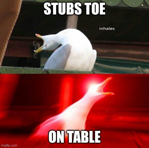 *clever title* | STUBS TOE; ON TABLE | image tagged in inhaling seagull | made w/ Imgflip meme maker