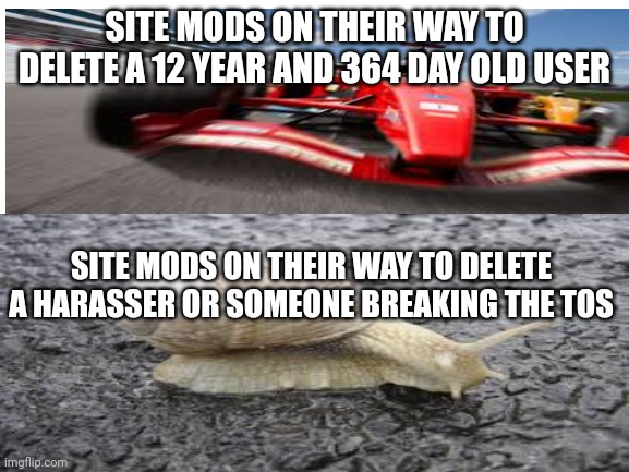 This needs to be stopped! | SITE MODS ON THEIR WAY TO DELETE A 12 YEAR AND 364 DAY OLD USER; SITE MODS ON THEIR WAY TO DELETE A HARASSER OR SOMEONE BREAKING THE TOS | image tagged in memes,blank white template,unfair,wtf | made w/ Imgflip meme maker