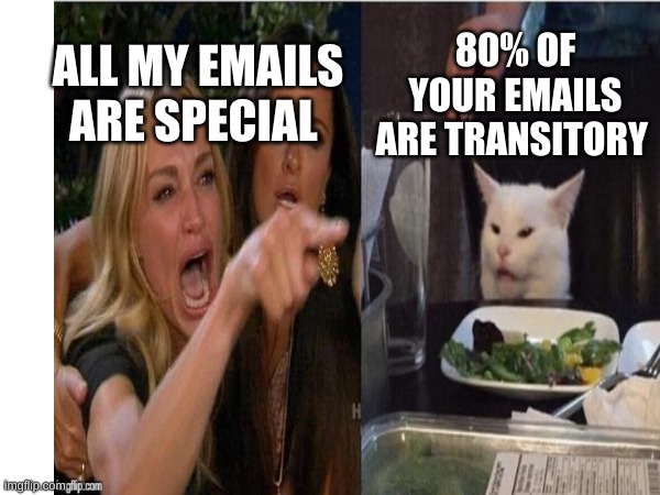Karen emails | 80% OF YOUR EMAILS ARE TRANSITORY; ALL MY EMAILS ARE SPECIAL | image tagged in karen,email,sad,funny,fun,funny memes | made w/ Imgflip meme maker