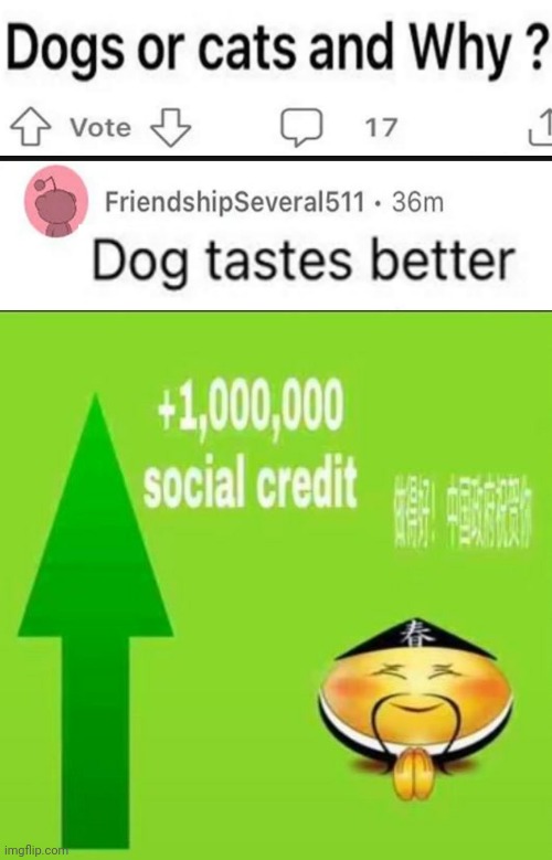 *chinese cook noises intensify* | image tagged in chinese,people,eat,dogs,and that's all i have to say about that | made w/ Imgflip meme maker