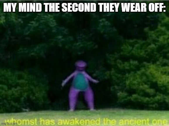 Whomst has awakened the ancient one | MY MIND THE SECOND THEY WEAR OFF: | image tagged in whomst has awakened the ancient one | made w/ Imgflip meme maker