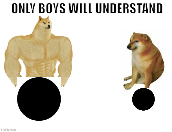 Only boys will understand | ONLY BOYS WILL UNDERSTAND | image tagged in memes,buff doge vs cheems | made w/ Imgflip meme maker