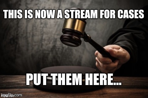 Court | THIS IS NOW A STREAM FOR CASES; PUT THEM HERE... | image tagged in court | made w/ Imgflip meme maker