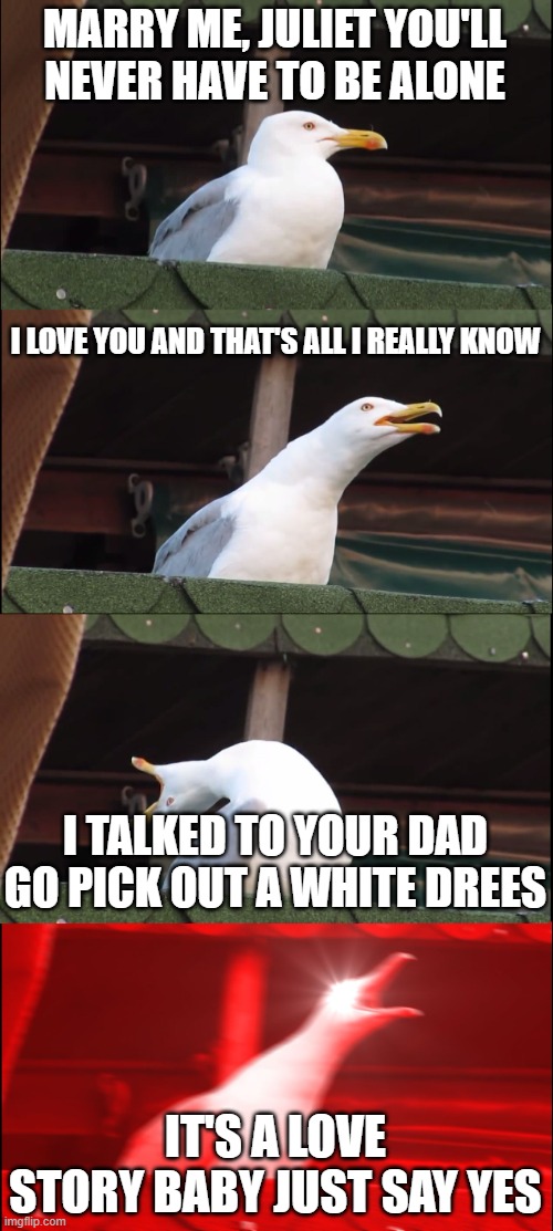 Swifty seagull | MARRY ME, JULIET YOU'LL NEVER HAVE TO BE ALONE; I LOVE YOU AND THAT'S ALL I REALLY KNOW; I TALKED TO YOUR DAD GO PICK OUT A WHITE DREES; IT'S A LOVE STORY BABY JUST SAY YES | image tagged in memes,inhaling seagull | made w/ Imgflip meme maker