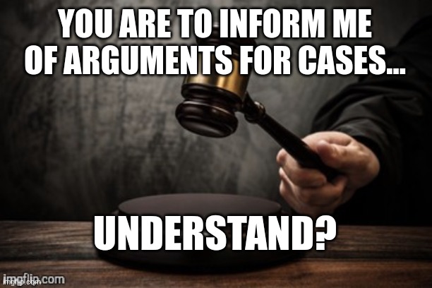 Court | YOU ARE TO INFORM ME OF ARGUMENTS FOR CASES... UNDERSTAND? | image tagged in court | made w/ Imgflip meme maker