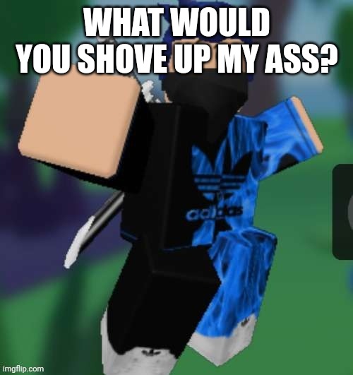 MR BEEEEEAAAAAA | WHAT WOULD YOU SHOVE UP MY ASS? | image tagged in mr beeeeeaaaaaa | made w/ Imgflip meme maker