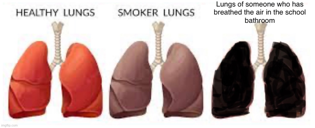 lungs | image tagged in school,middle school | made w/ Imgflip meme maker