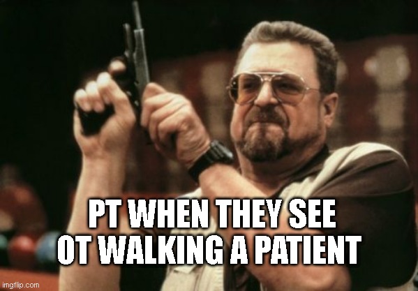 Am I The Only One Around Here | PT WHEN THEY SEE OT WALKING A PATIENT | image tagged in memes,am i the only one around here | made w/ Imgflip meme maker