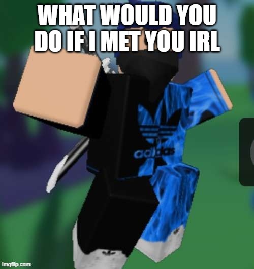 MR BEEEEEAAAAAA | WHAT WOULD YOU DO IF I MET YOU IRL | image tagged in mr beeeeeaaaaaa | made w/ Imgflip meme maker