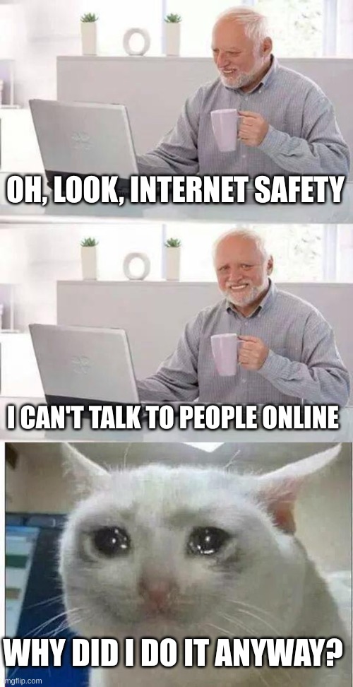 Sorry :( | OH, LOOK, INTERNET SAFETY; I CAN'T TALK TO PEOPLE ONLINE; WHY DID I DO IT ANYWAY? | image tagged in memes,hide the pain harold,crying cat | made w/ Imgflip meme maker