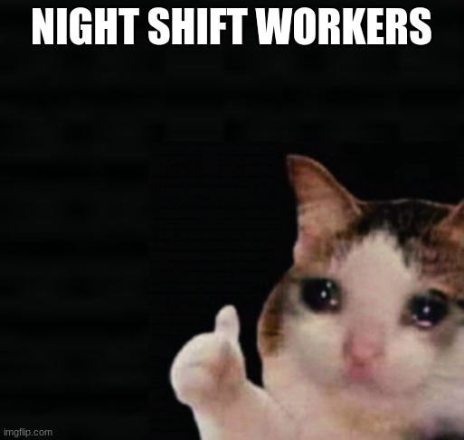 Thumbs up crying cat | NIGHT SHIFT WORKERS | image tagged in thumbs up crying cat | made w/ Imgflip meme maker