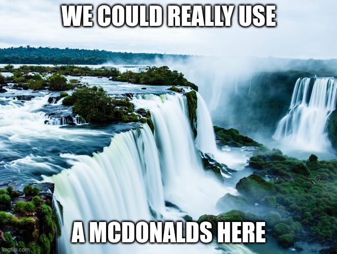 WE COULD REALLY USE; A MCDONALDS HERE | made w/ Imgflip meme maker