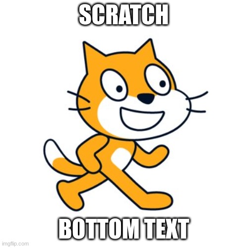 Scratch cat | SCRATCH BOTTOM TEXT | image tagged in scratch cat | made w/ Imgflip meme maker
