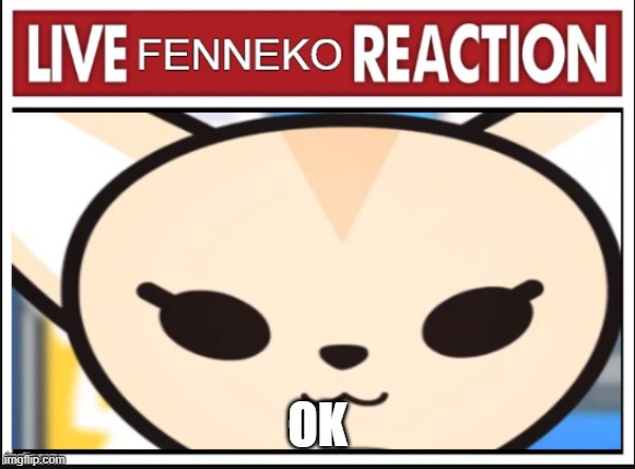 OK | image tagged in live fenneko reaction | made w/ Imgflip meme maker