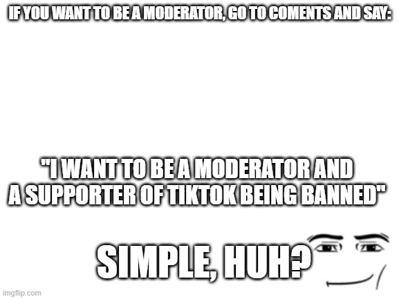 hey, wanna be a moderator? | IF YOU WANT TO BE A MODERATOR, GO TO COMENTS AND SAY:; "I WANT TO BE A MODERATOR AND A SUPPORTER OF TIKTOK BEING BANNED"; SIMPLE, HUH? | image tagged in blank white template,moderators | made w/ Imgflip meme maker