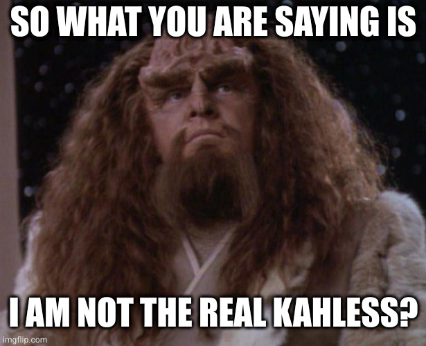Kahless The Unforgettable | SO WHAT YOU ARE SAYING IS; I AM NOT THE REAL KAHLESS? | image tagged in kahless the unforgettable | made w/ Imgflip meme maker