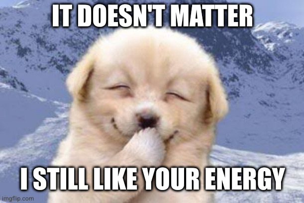 Laughing dog | IT DOESN'T MATTER I STILL LIKE YOUR ENERGY | image tagged in laughing dog | made w/ Imgflip meme maker