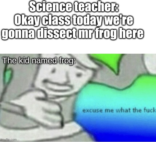 NOOOOOOOOOOOOOOOOOOO | Science teacher: Okay class today we're gonna dissect mr frog here; The kid named frog: | image tagged in excuse me wtf blank template,dead,oh no,meme | made w/ Imgflip meme maker