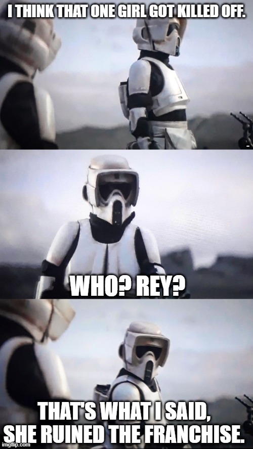 Storm Trooper Conversation | I THINK THAT ONE GIRL GOT KILLED OFF. LYLE; WHO? REY? THAT'S WHAT I SAID, SHE RUINED THE FRANCHISE. | image tagged in storm trooper conversation | made w/ Imgflip meme maker