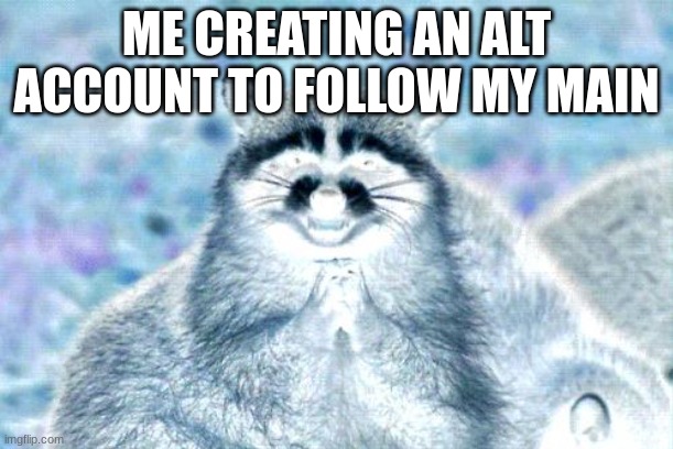 thats the real reason i hit 4 follows | ME CREATING AN ALT ACCOUNT TO FOLLOW MY MAIN | image tagged in memes,evil plotting raccoon | made w/ Imgflip meme maker