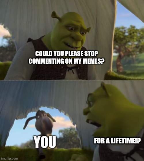 Could you not ___ for 5 MINUTES | COULD YOU PLEASE STOP COMMENTING ON MY MEMES? YOU FOR A LIFETIME!? | image tagged in could you not ___ for 5 minutes | made w/ Imgflip meme maker