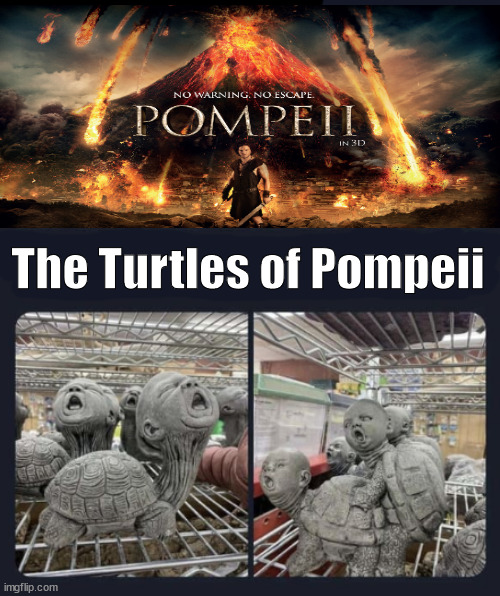 caught in the act | The Turtles of Pompeii | image tagged in memes,drk humor | made w/ Imgflip meme maker